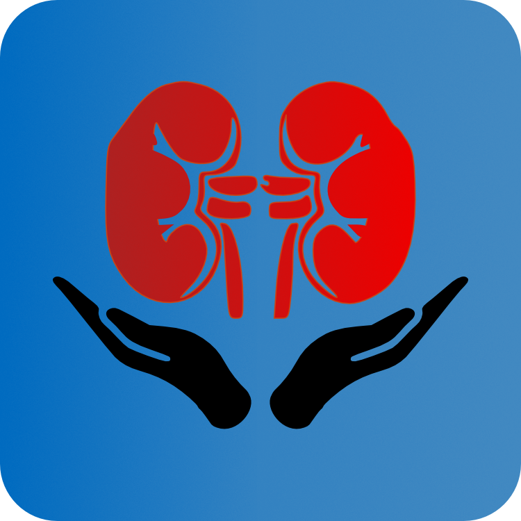 CKD Logo